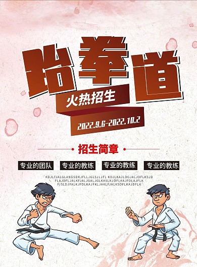 简约精致的高端的跆拳道dm单