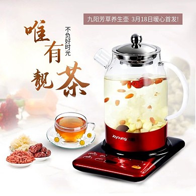 家用电器芳草养生壶主图