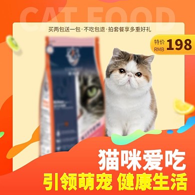 橘色暖色调猫咪爱吃的猫粮通用直通车主图