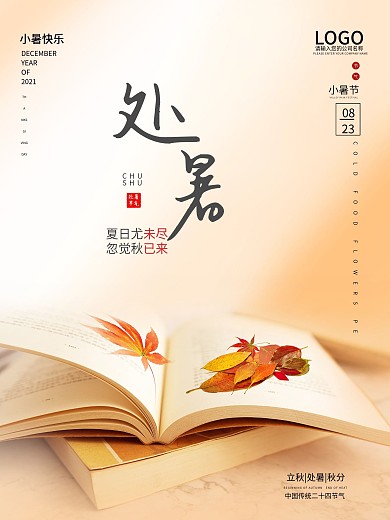 处暑简约实拍摄影图创意海报