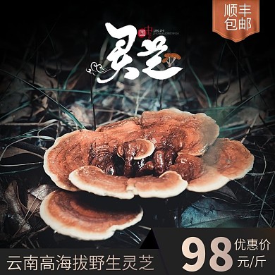 灵芝药材电商主图