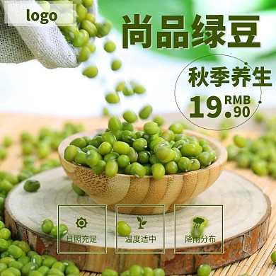 秋季养生绿豆木托特写高清绿色主图