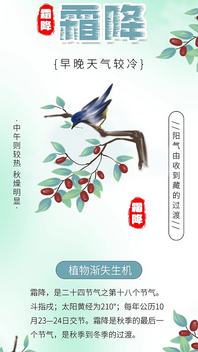 霜降节气水墨鸟植物植被插画海报