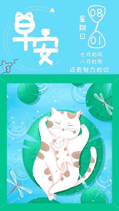 八月猫咪早安日签手机壁纸
