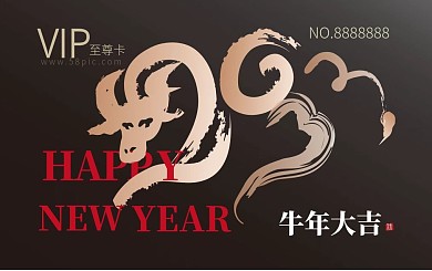新年购物卡VIP卡