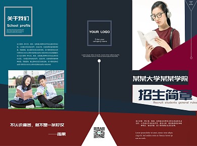 扁平风大专院校招生简章三折页