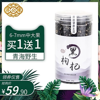 电商淘宝黑枸杞主图手绘植物活动推广图绿色主图