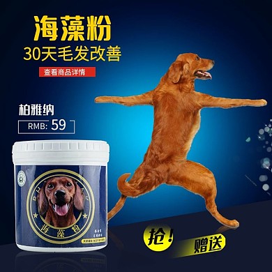 店铺新品上市宠物食品钙粉海藻粉营养粉主图