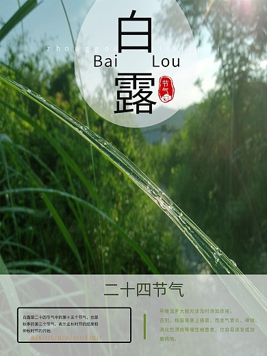 白露天气转凉露凝而白