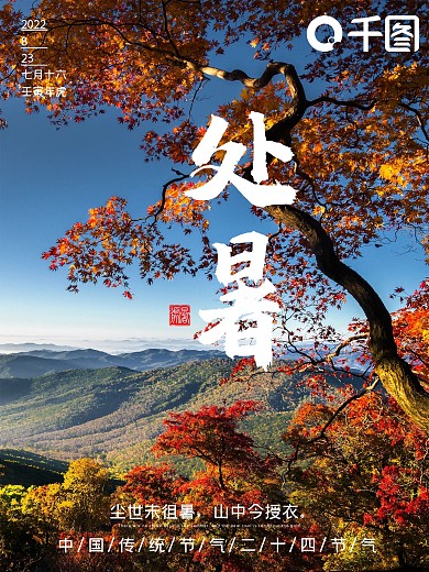 二十四节气之处暑枫叶秋季节日海报