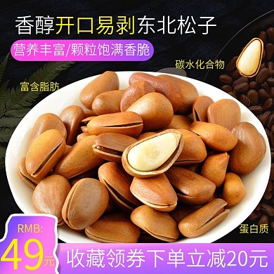 电商主图直通车简约坚果零食东北松子