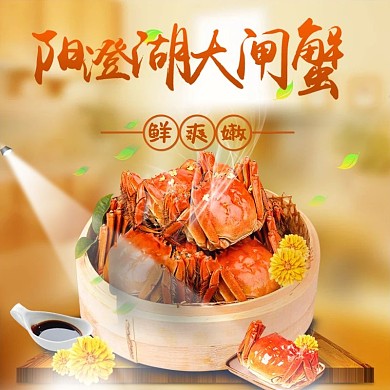 黄色阳澄湖大闸蟹鲜爽嫩熟食淘宝主图直通车