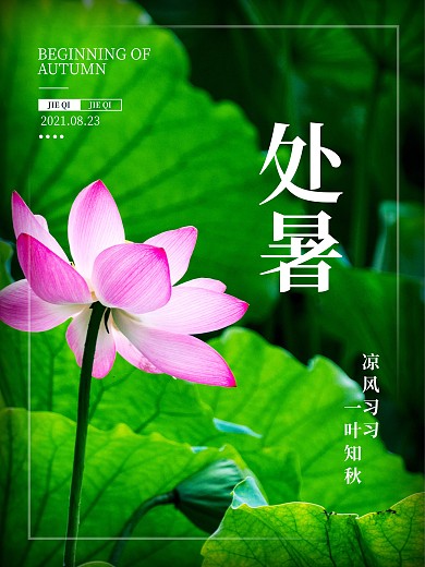 二十四节气处暑荷花黑色渐变海报