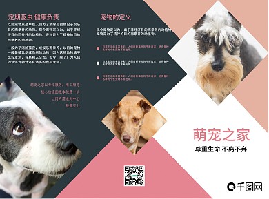 宠物之家萌宠中心猫狗三折页宣传手册