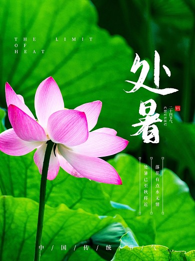 二十四节气处暑节气荷花简约海报