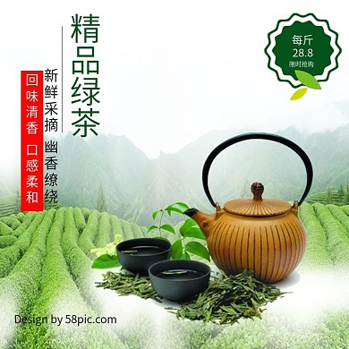 192清香柔和新鲜采摘精品绿茶主图