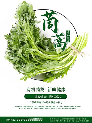 有机茼蒿销售海报