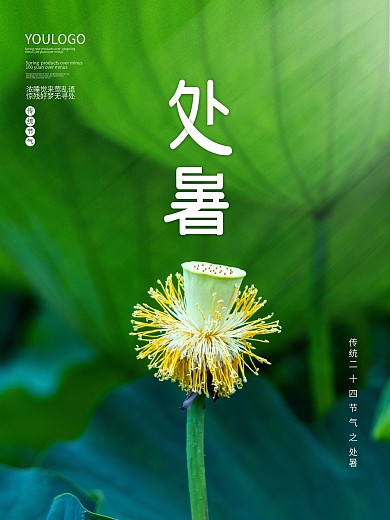 简约处暑节气海报暑天节气荷叶莲蓬背景素材