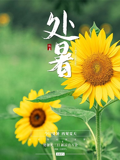 二十四节气处暑节气向日葵简约海报
