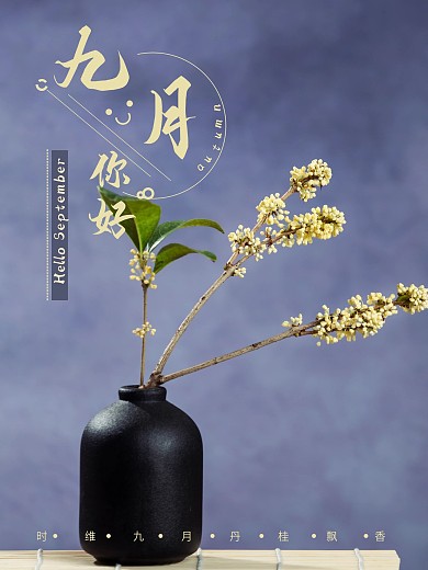 九月你好花瓶金桂摄影图海报