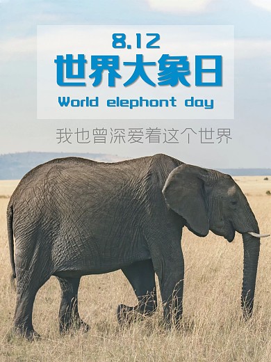 世界大象日 海报