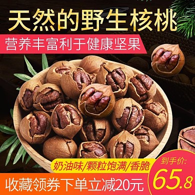 电商主图直通车简约坚果零食野生核桃绿叶