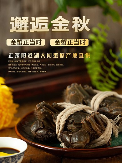 邂逅金秋金秋螃蟹美食海报