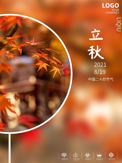 立秋2枫叶红枫叶平面