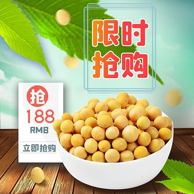 黄豆促销直通车图主图