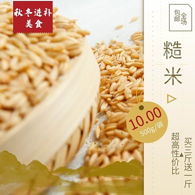 米色简单秋冬进补美食糙米全胚芽米电商主图