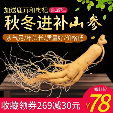 电商主图直通车简约中国风秋冬进补山参绿叶