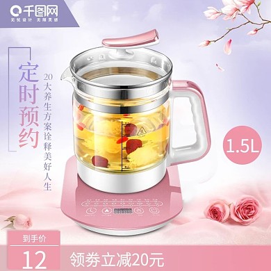 多功能养生壶煎药壶电热烧水壶花茶壶主图