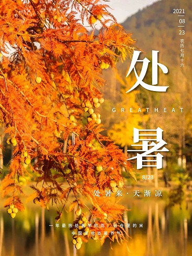 二十四节气处暑河边红树叶简约海报