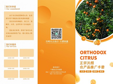 沃柑农产品宣传手册