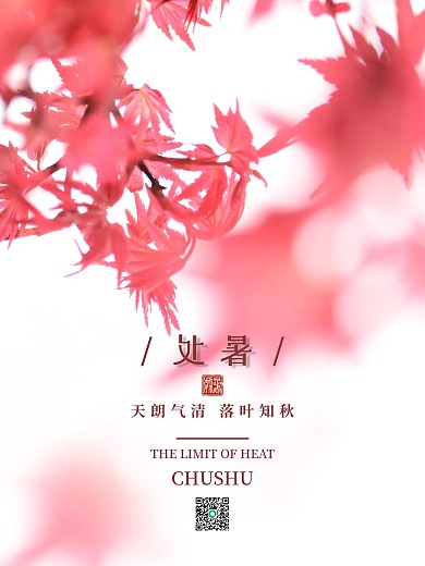 简约留白传统二十四节气处暑节气海报