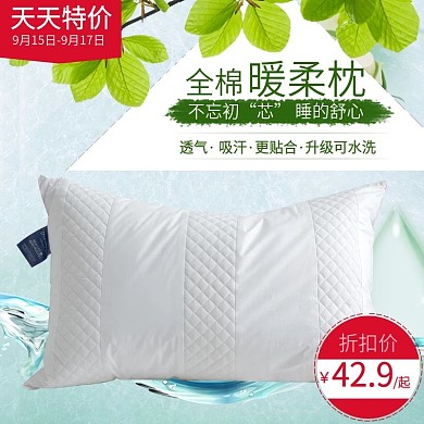 枕芯首图设计模板