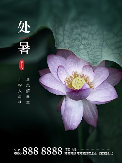 处暑荷花节气海报