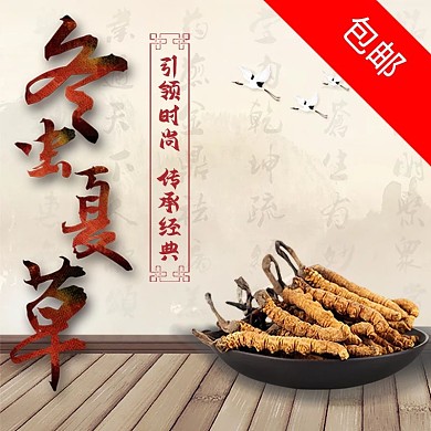 淘宝引领时尚传承经典冬虫夏草主图