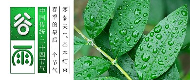 谷雨节气绿叶水珠公众号配图