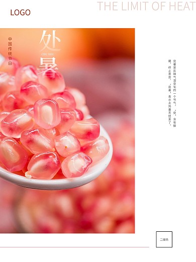 大气简约留白处暑节气宣传海报