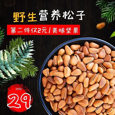 电商主图直通车简约坚果野生营养松子绿叶