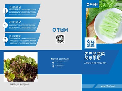 绿色有机蔬菜折页小清新青菜广告宣传