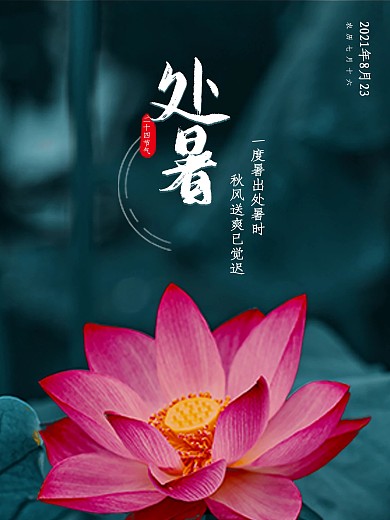 处暑 二十四节气 荷花