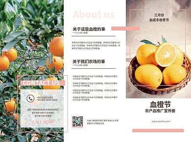 大气农产品宣传三折页