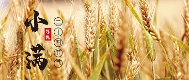 小满二十四节气气候微信公众号配图封面