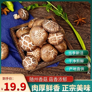 云南当季食品茶饮枸杞菌菇木耳香菇主图