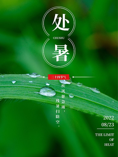 二十四节气处暑清晨露水简约海报