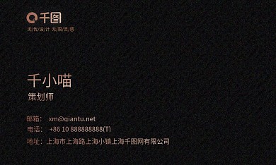 黑色烫金简约商务科技感暗黑系名片