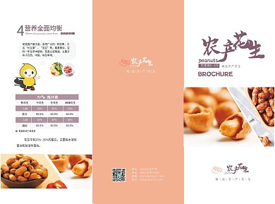高端农业产品花生折页