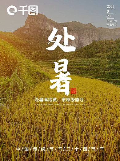 简约处暑节日秋天黄色稻田丰收摄影图海报
